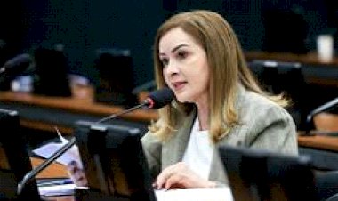 Comissão da Pessoa Idosa aprova criminalização de estelionato sentimental digital