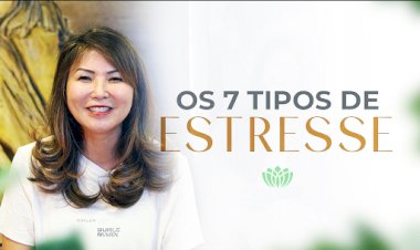 Katia Haranaka: OS 7 TIPOS DE ESTRESSE - apresentação