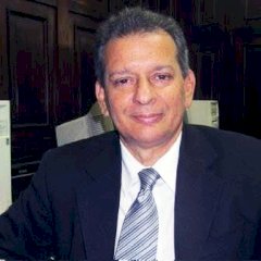 Flavio H Barros